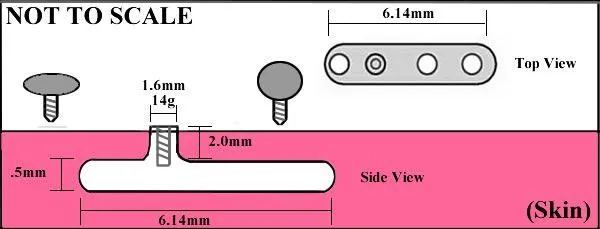 Painful Pleasures Vibrators 14g 12g Internally Threaded Flower Top Price Per 1