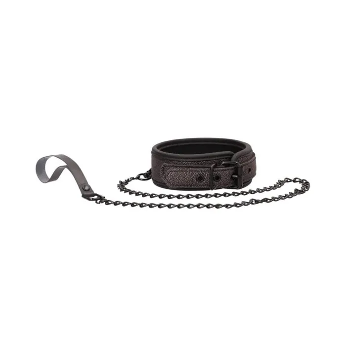 Fairvillacom Couples Ouch Ouch Elegant Collar With Leash Titanium Grey