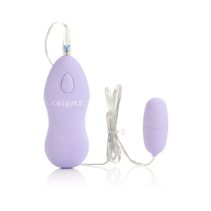 Fairvillacom Vibrators Twin Pleasure Pak Purple Bullet Vibrators